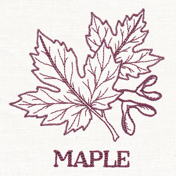 Leafy Botanicals - Maple - Image 3