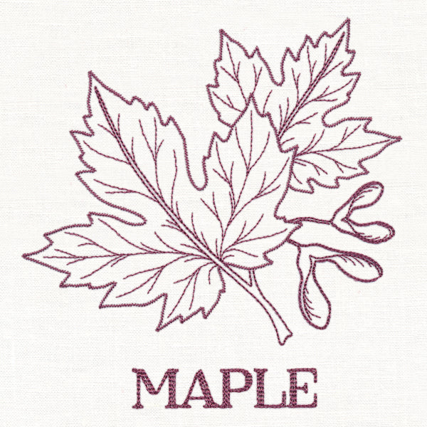 Leafy Botanicals - Maple - Image 4