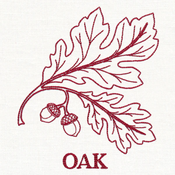 Leafy Botanicals - Oak - Image 2