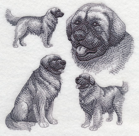 Leonberger Sketch - Image 3