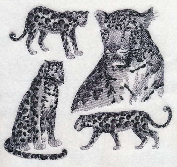 Leopard Sketch - Image 4