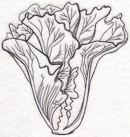 Lettuce Etching - Image 2