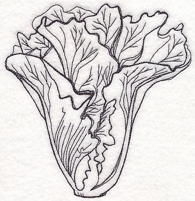 Lettuce Etching - Image 3