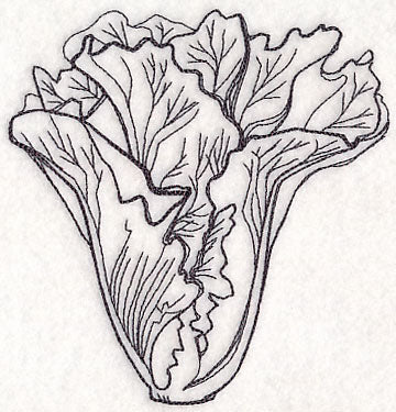 Lettuce Etching - Image 4