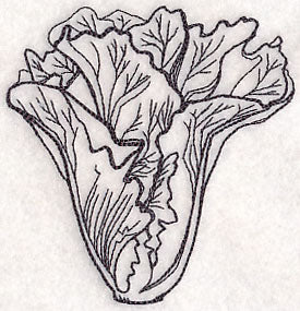 Lettuce Etching - Image 5