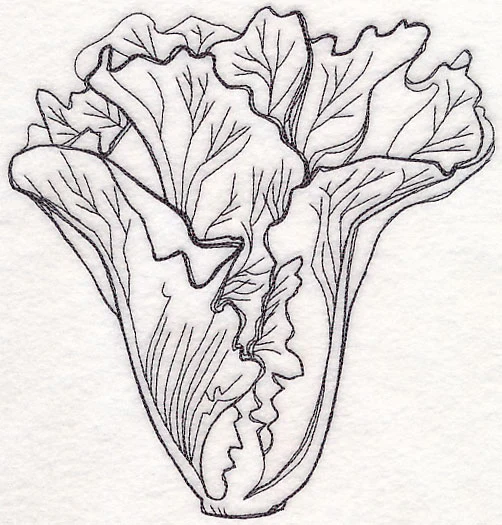 Lettuce Etching - Image 6