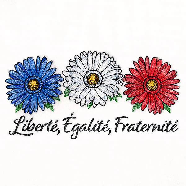 Liberte, Egalite, Fraternite Daisies - Image 5