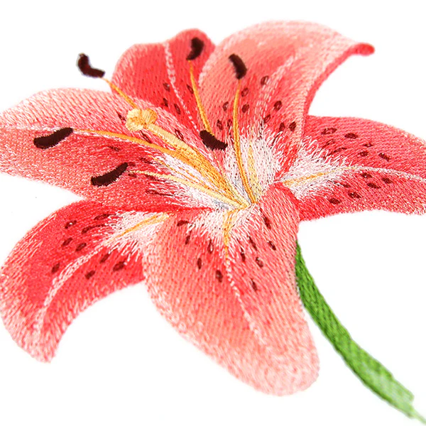 Lily in Bloom - Image 6