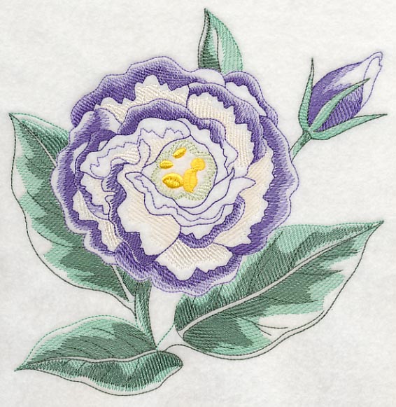 Lisianthus Beauty