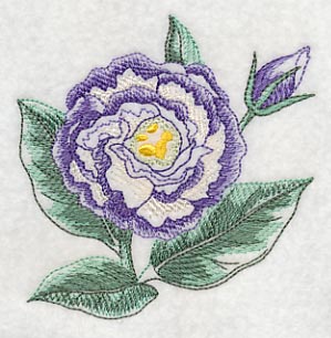 Lisianthus Beauty - Image 2