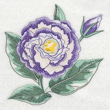 Lisianthus Beauty - Image 5