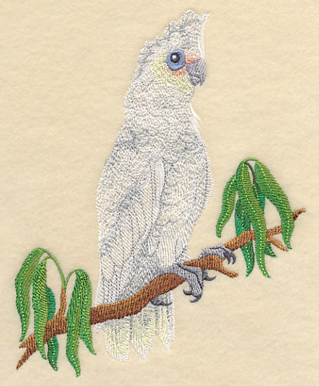 Little Corella - Image 2