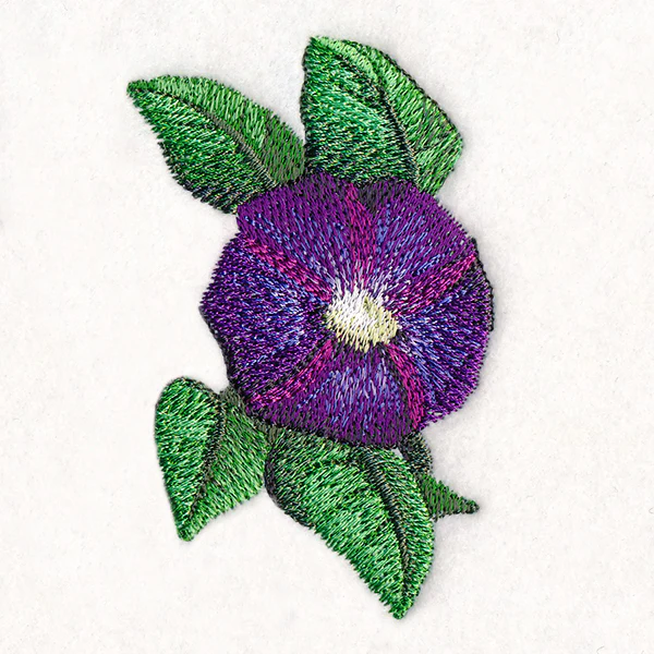Lively Morning Glory - Image 3