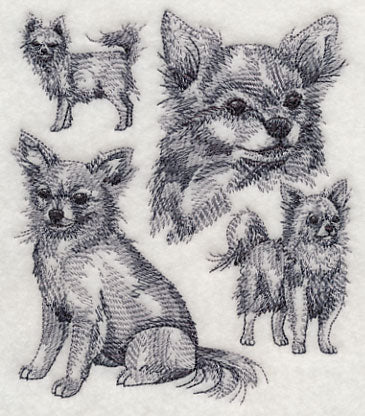 Long-haired Chihuahua Sketch - Image 3