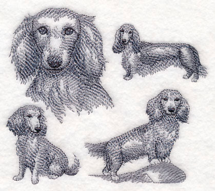 Long-Haired Wiener Dog Sketch - Image 3