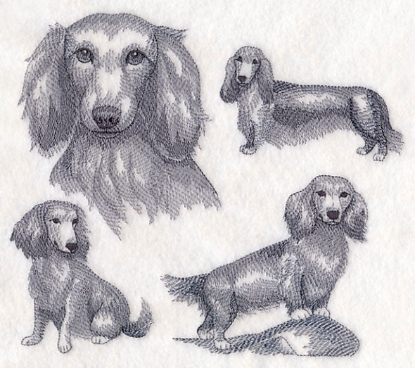Long-Haired Wiener Dog Sketch - Image 4