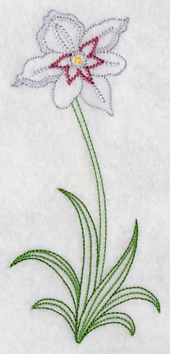 Long Stemmed Gladiolus Murielae (Vintage) - Image 3