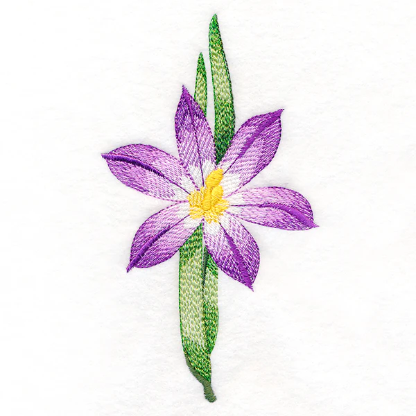 Long-Stemmed Iris - Image 3