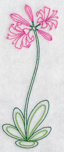 Long Stemmed Nerine (Vintage) - Image 3