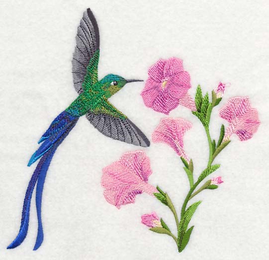 Long-tail Sylph Hummingbird - Image 2