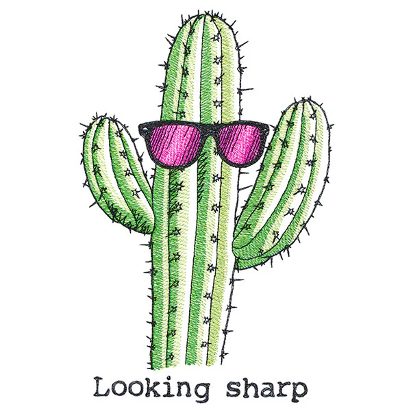 Looking Sharp Cactus - Image 2