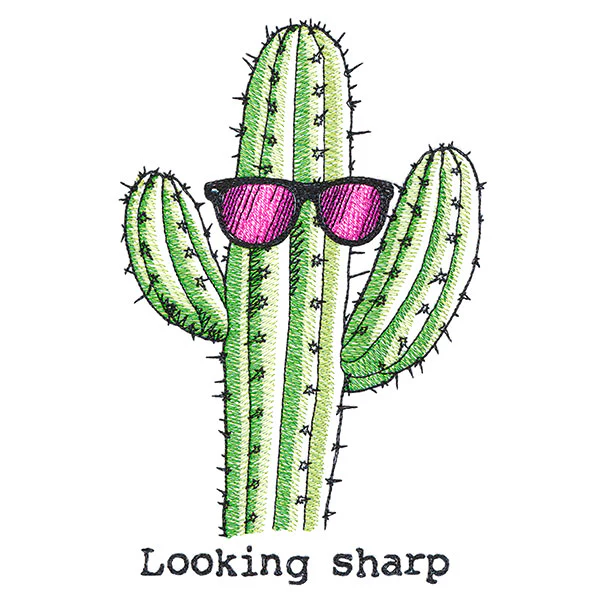 Looking Sharp Cactus - Image 3