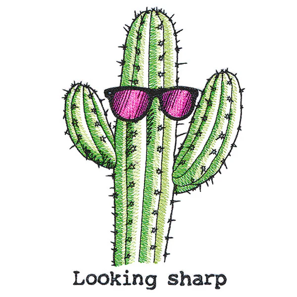 Looking Sharp Cactus - Image 4