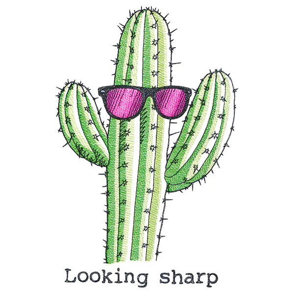 Looking Sharp Cactus - Image 5