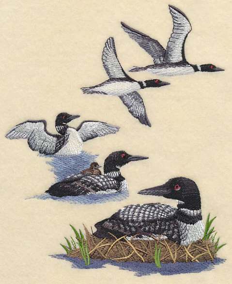 Loon Collage - Image 2