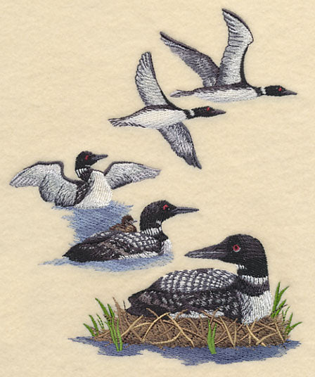Loon Collage - Image 3
