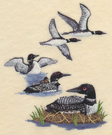 Loon Collage - Image 4