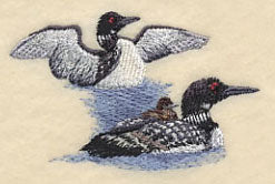 Loons on the Lake - Image 2