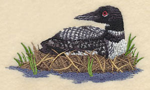 Loons on the Shore - Image 2