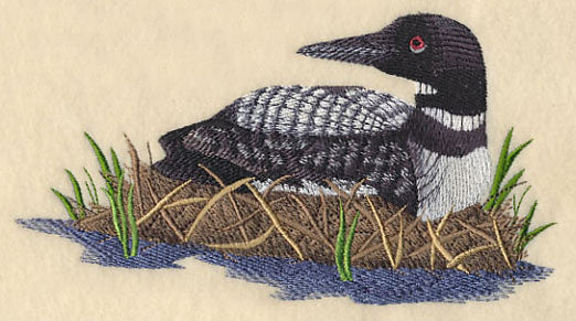 Loons on the Shore - Image 3