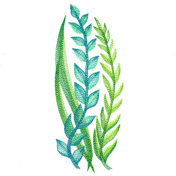 Lovely Ferns and Botanicals - Image 3