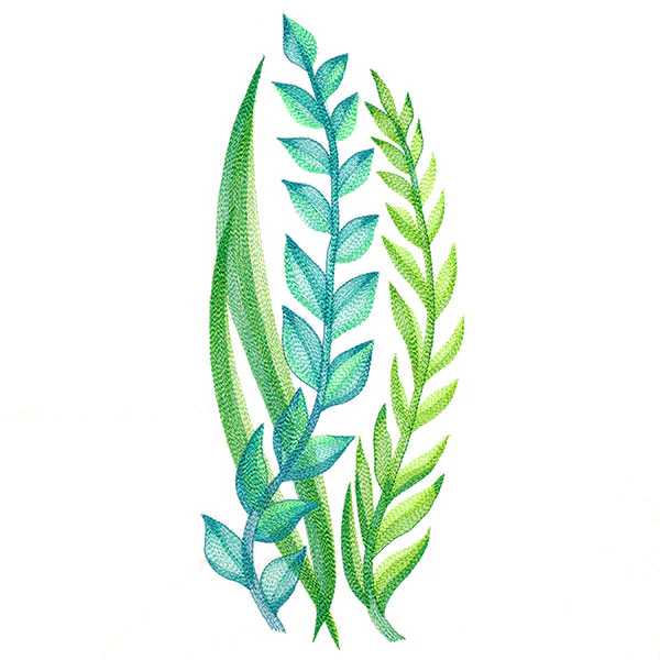 Lovely Ferns and Botanicals - Image 5