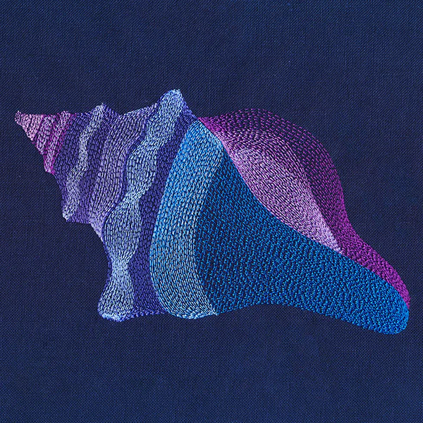 Lovely Lightning Whelk Shell - Image 3
