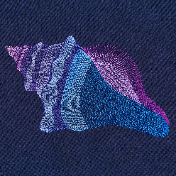 Lovely Lightning Whelk Shell - Image 4