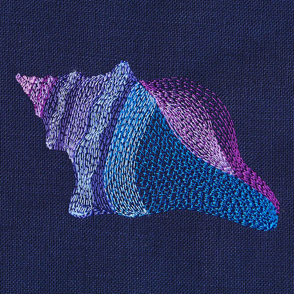 Lovely Lightning Whelk Shell - Image 5