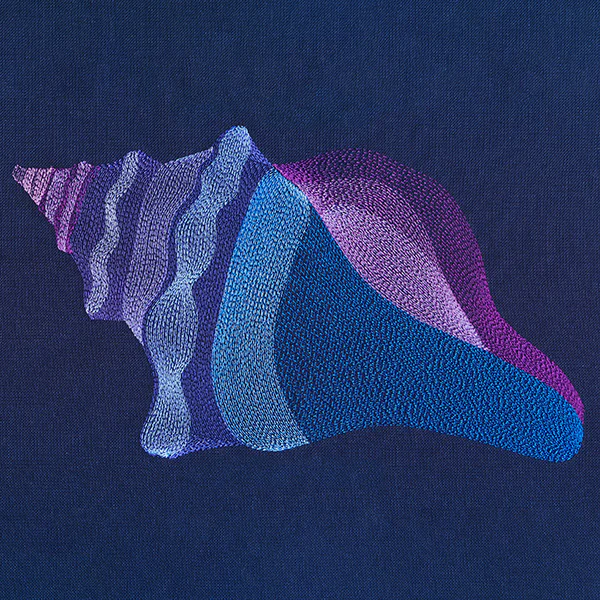 Lovely Lightning Whelk Shell - Image 6
