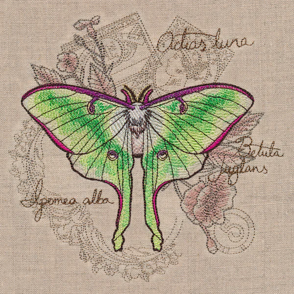 Luna Moth Collage - Image 2