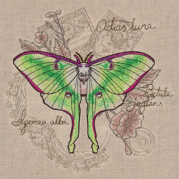 Luna Moth Collage - Image 5
