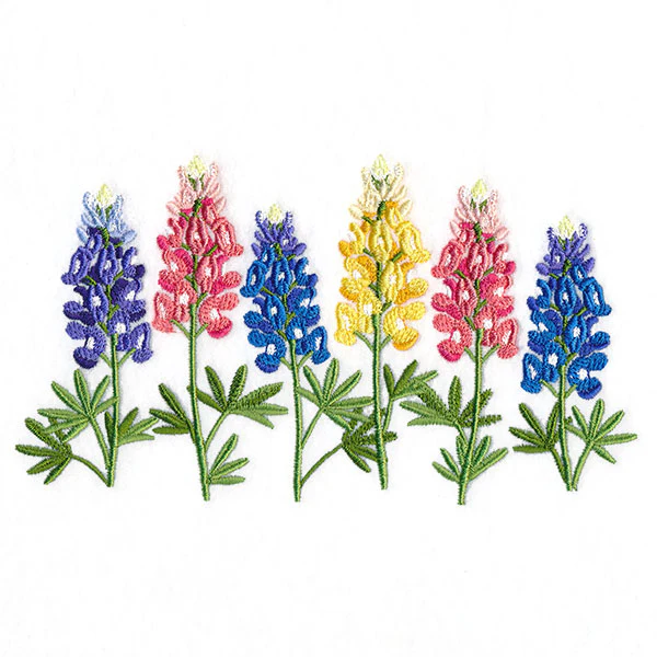 Luscious Lupine Border - Image 4