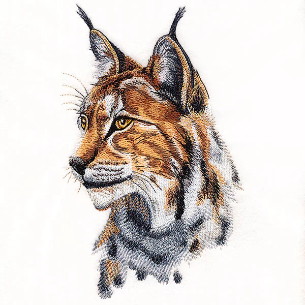 Lynx Portrait - Image 5