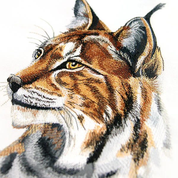 Lynx Portrait - Image 6