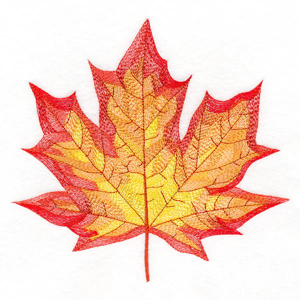 Magnificent Maple Leaf - Image 2