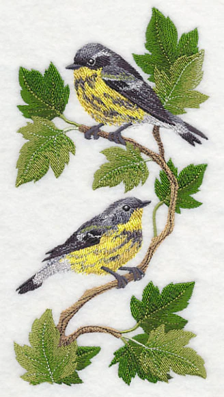 Magnolia Warbler Panel - Image 3