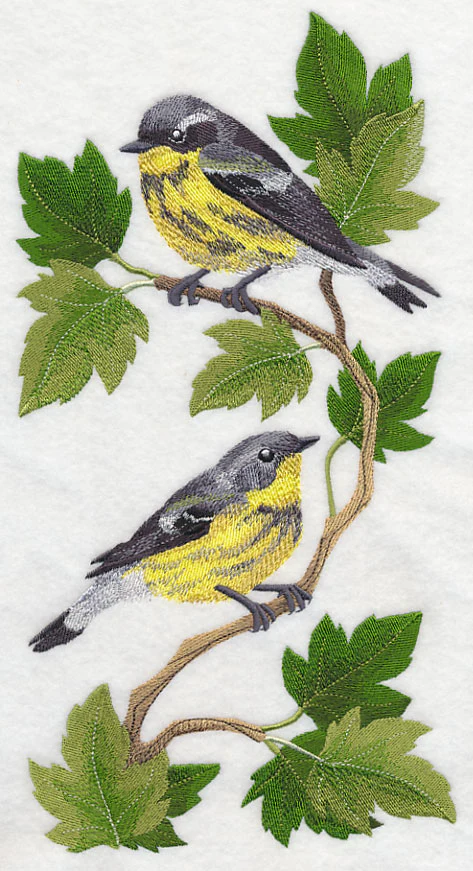 Magnolia Warbler Panel - Image 5