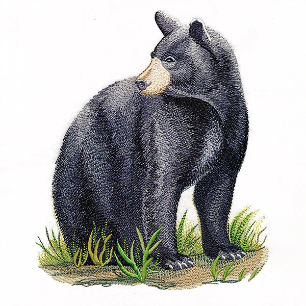 Majestic Black Bear - Image 7
