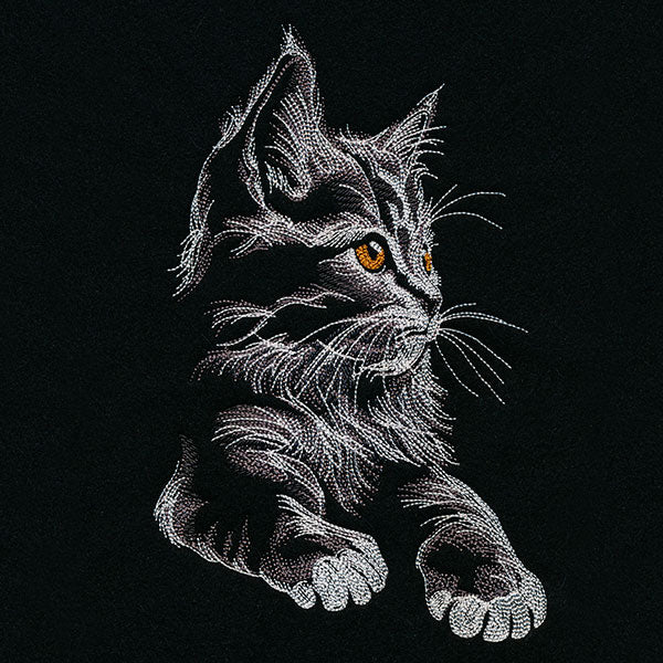 Majestic Gaze Kitten - Image 3